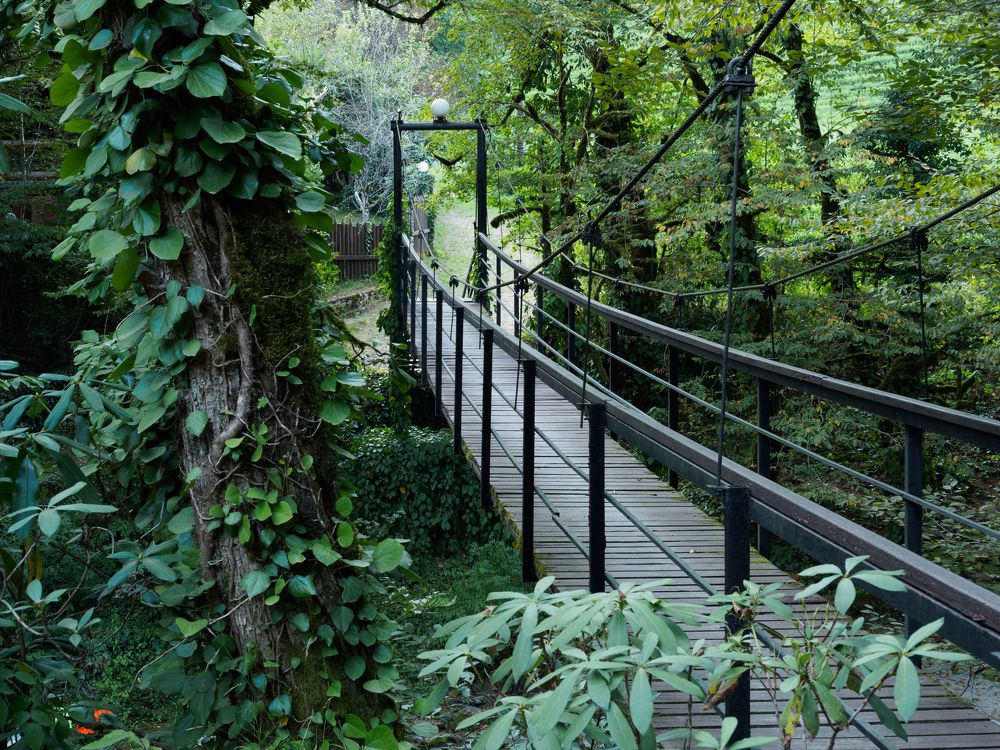 Photograph by Шейко Анна