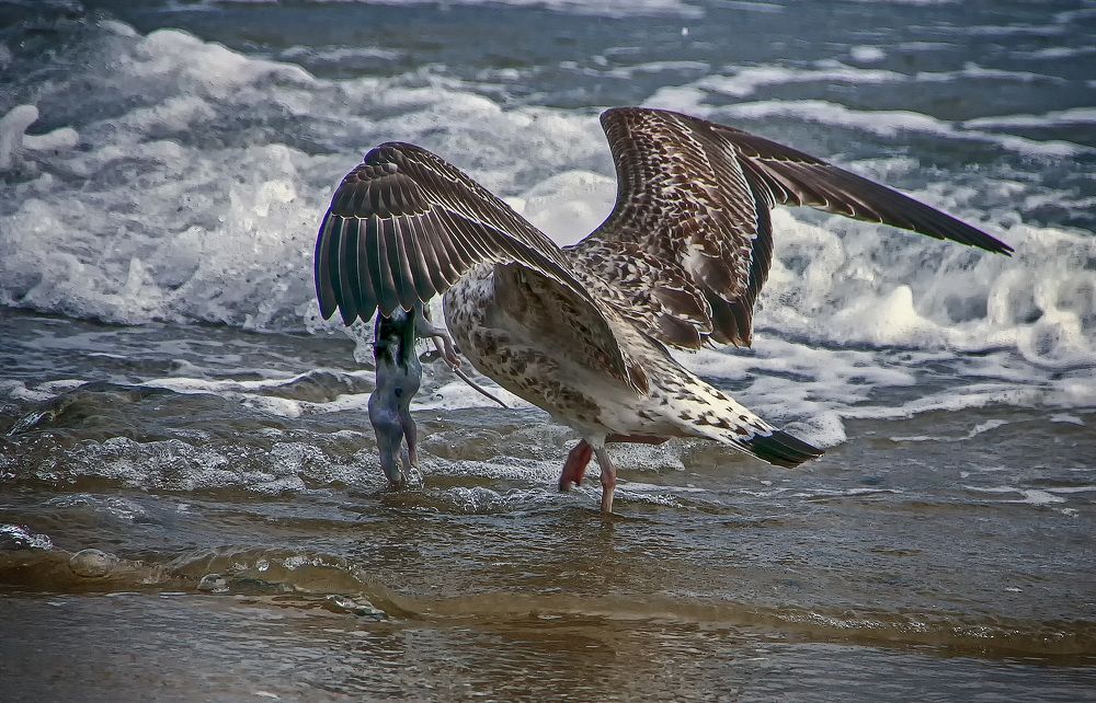 Фотография автора Александр