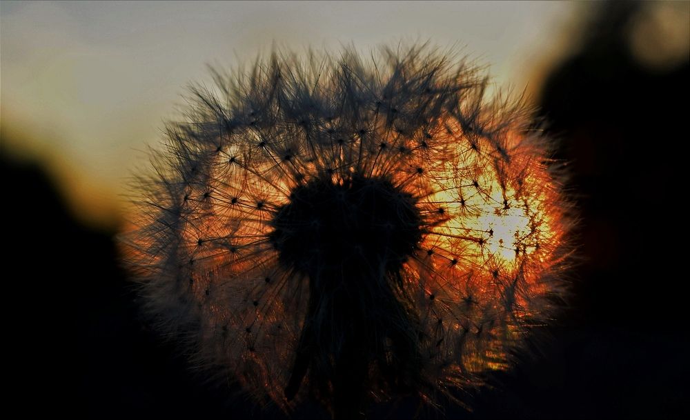 Photograph by Арина