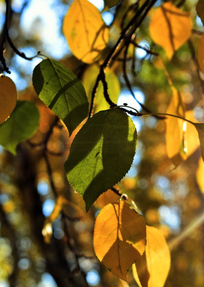 Photograph by Арина