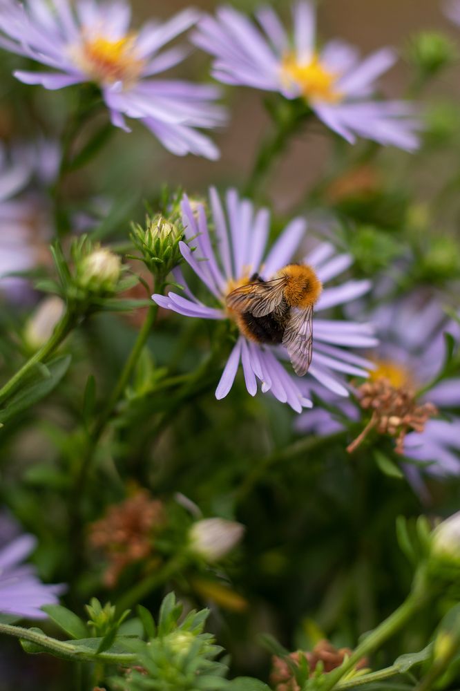 Photograph by Ирина Зиннурова