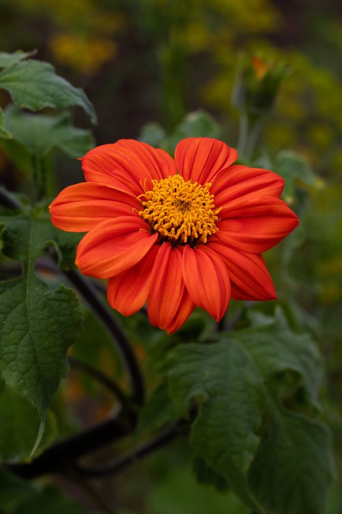 Photograph by Ирина Зиннурова