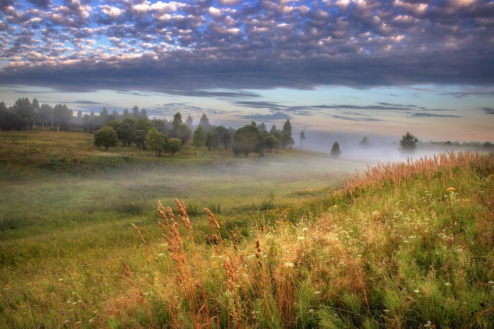 Фотография автора Сережин Сережа