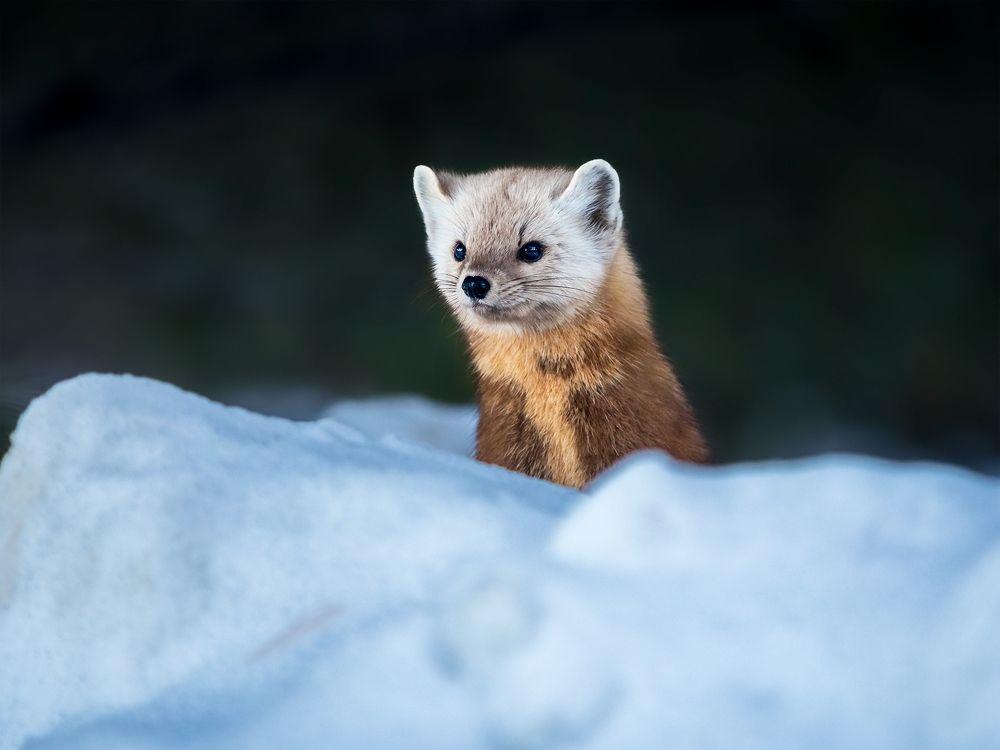 Photograph by Zhenhuan Zhou