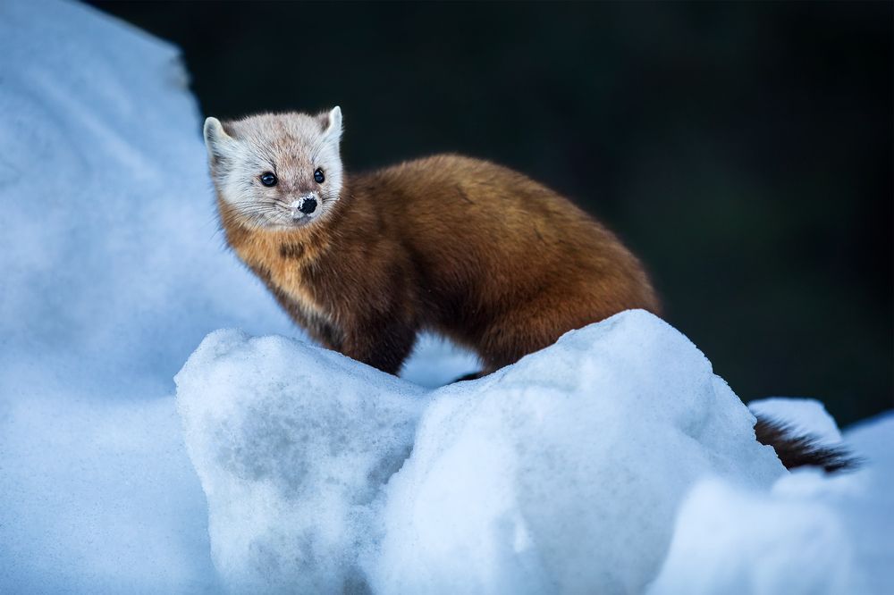 Photograph by Zhenhuan Zhou