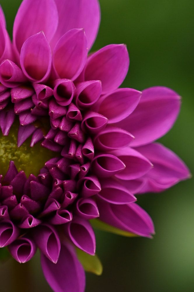 Photograph by Надежда Преминина