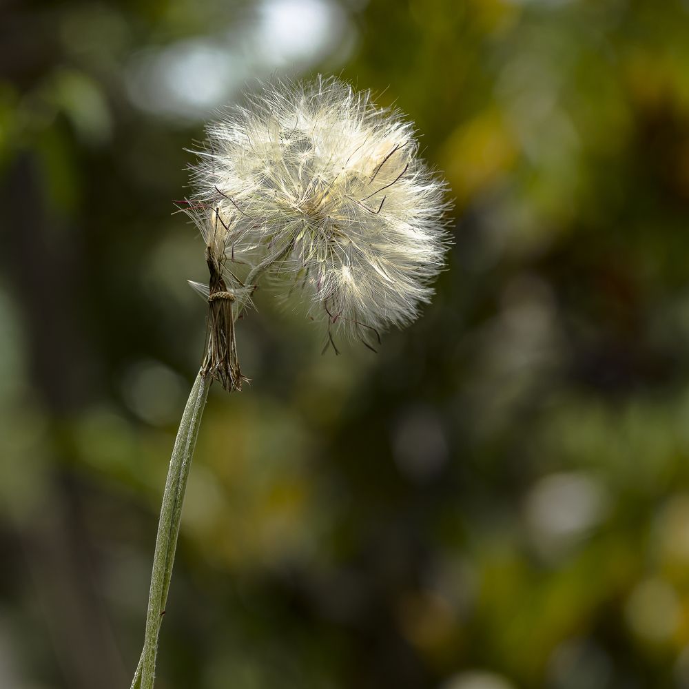 Photograph by Armando López-Guerrero