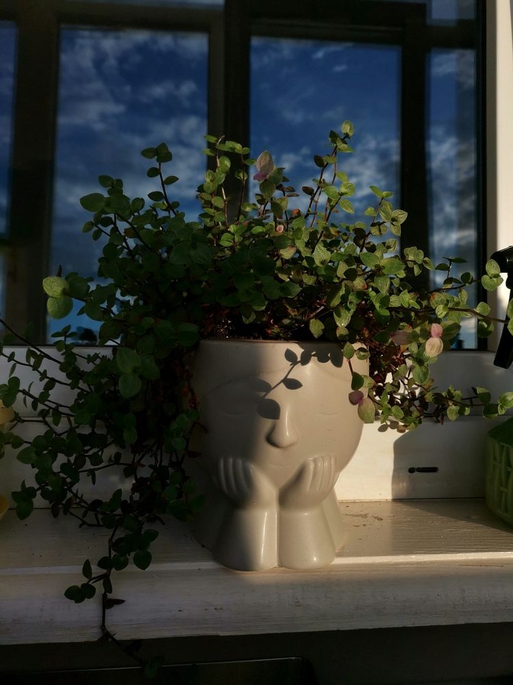 Photograph by Татьяна Цветкова