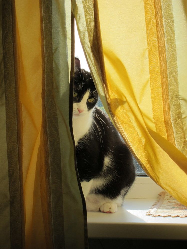 Photograph by Татьяна Цветкова