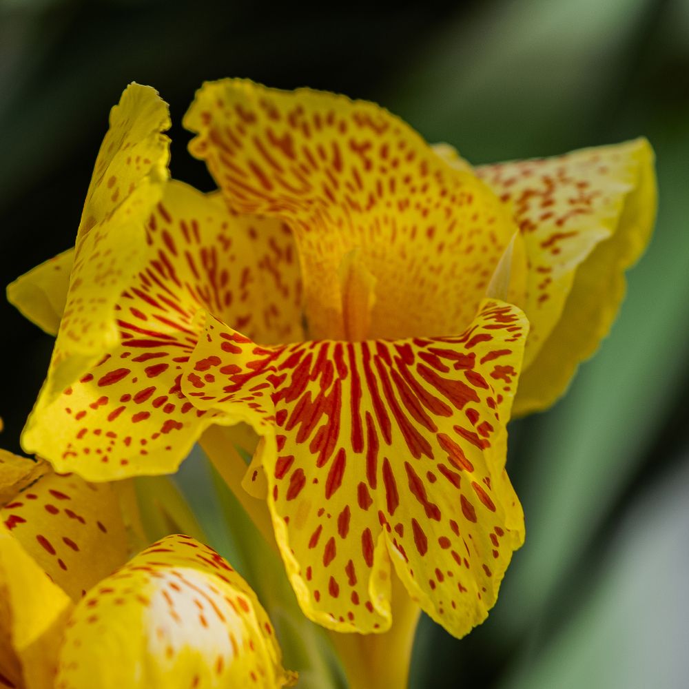 Photograph by Armando López-Guerrero