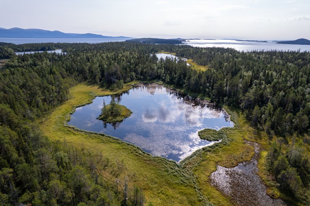 Photograph by Valentin Kolinko