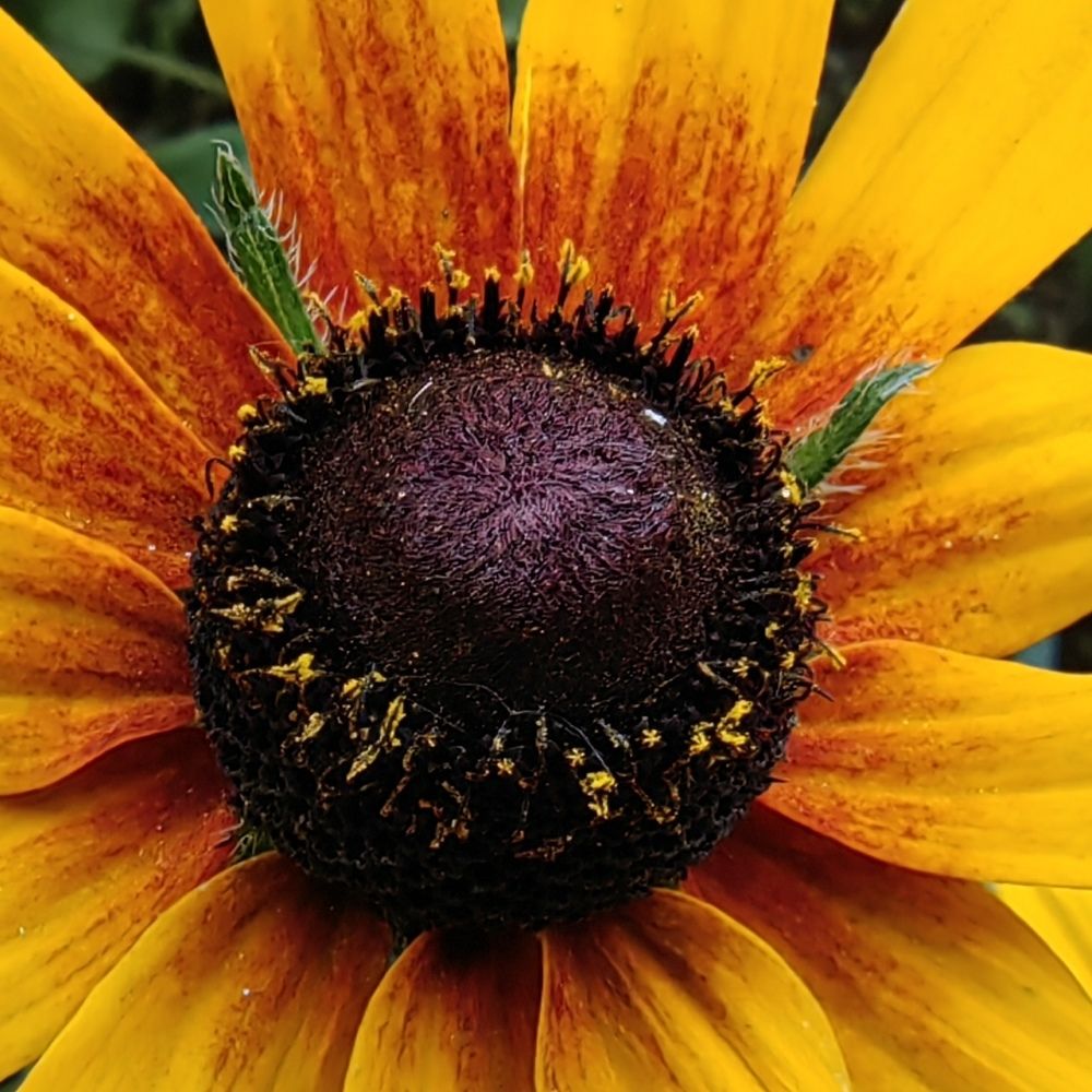 Photograph by Юрий Полушин