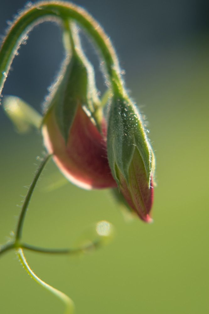 Photograph by Viktoria Alaküla