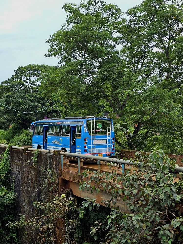 Photograph by Satheesh T S