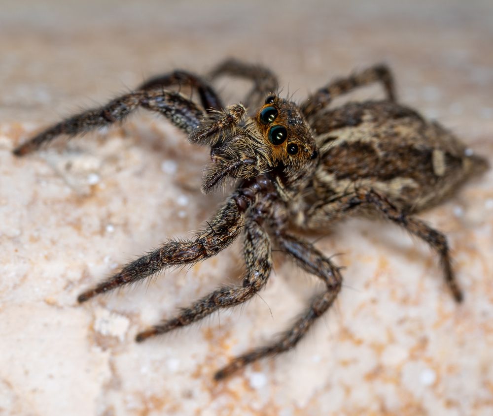 Фотография автора Sercan Özyurt