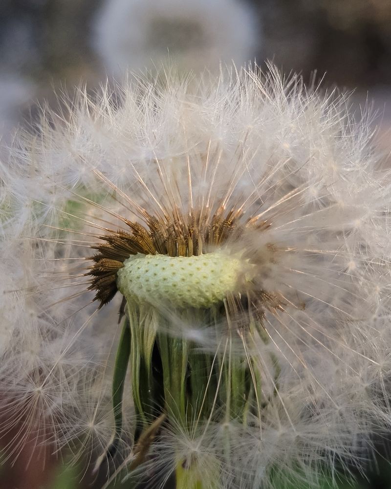 Photograph by adriana menez