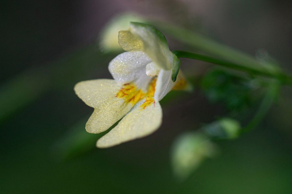 Photograph by Дарья Улюсова