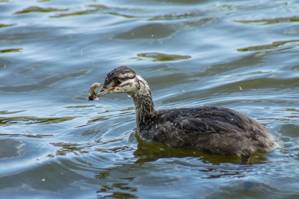Photograph by Карина Заводчикова