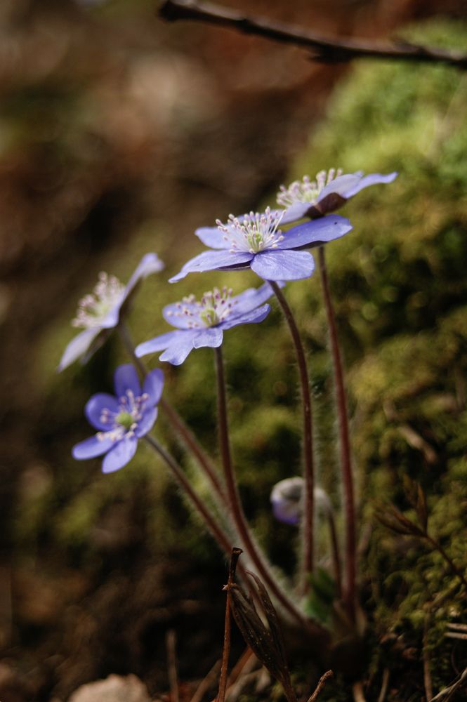 Photograph by Карина Заводчикова