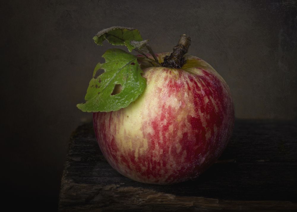 Фотография автора Максим Вышарь