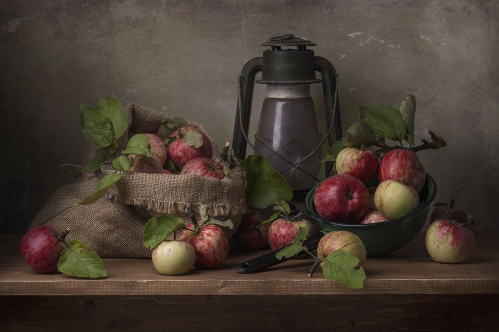 Photograph by Вышарь Максим