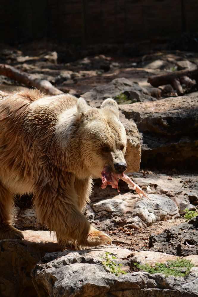 Photograph by esti lahat