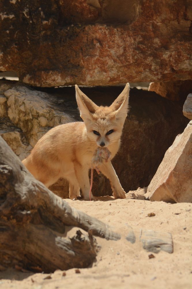 Photograph by esti lahat