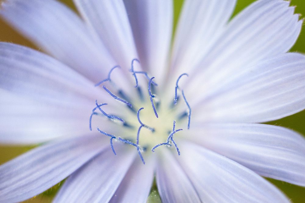 Photograph by Александр Карасев