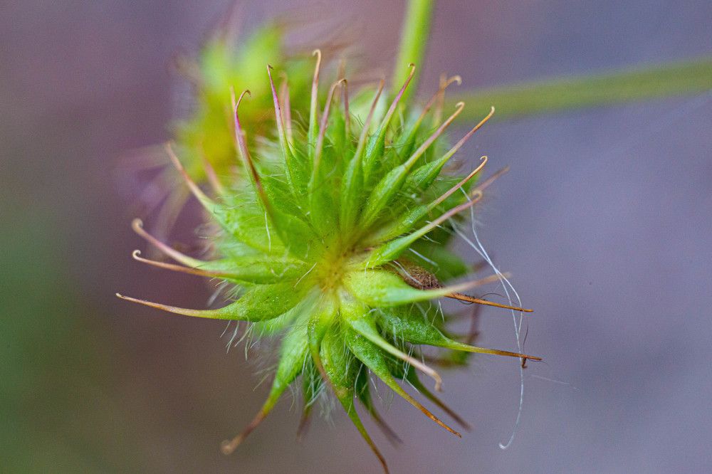 Photograph by Александр Карасев