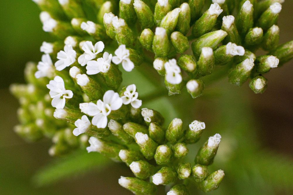 Photograph by Александр Карасев