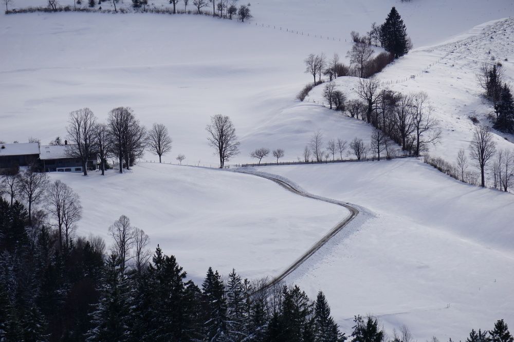 Фотография автора Liudmila Kiermeier