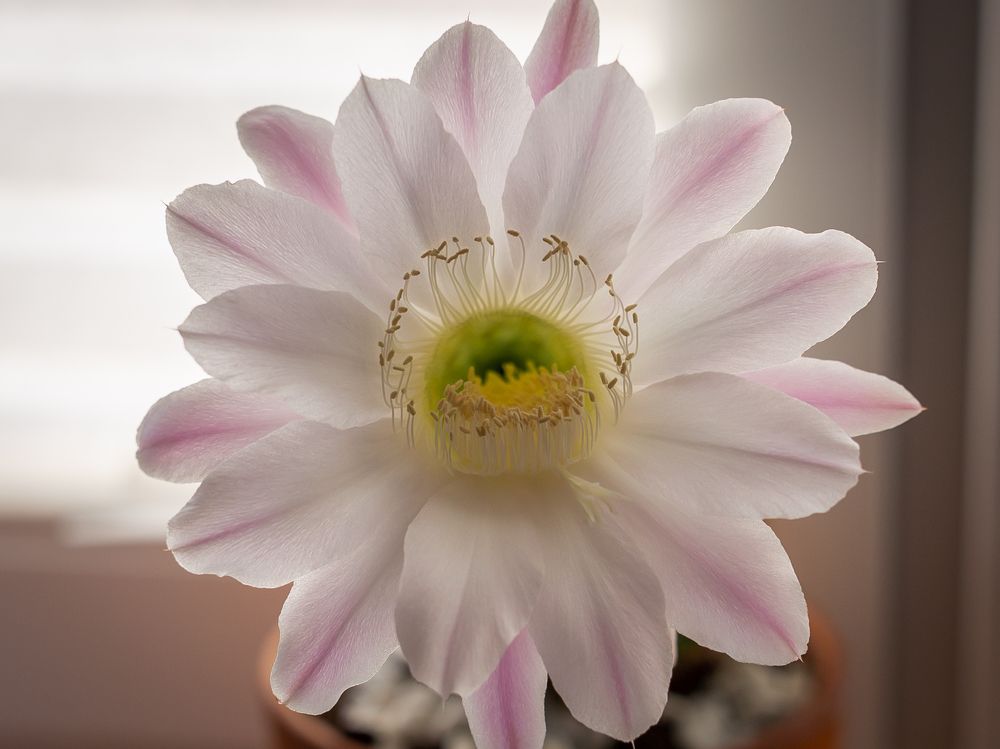 Photograph by Олег Дорошенко