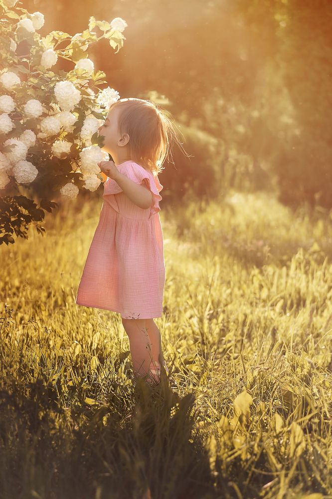 Фотография автора Мария Романович