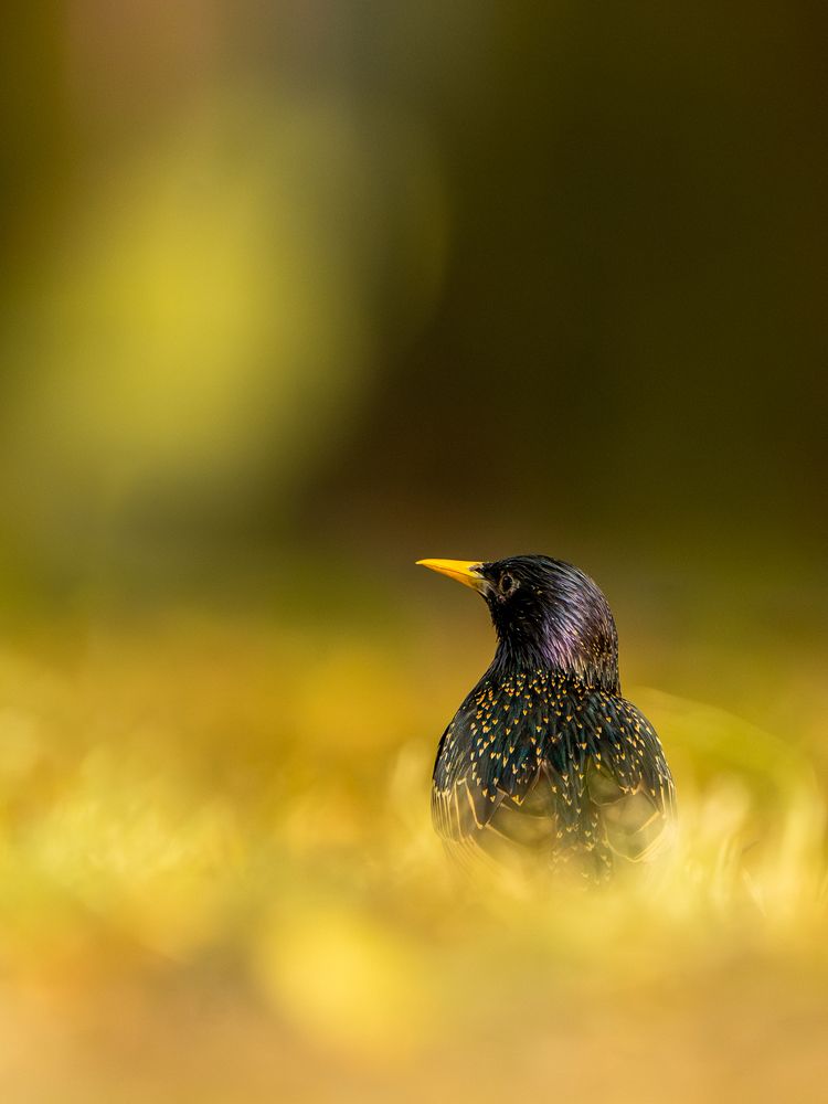 Photograph by Raman Danilchyk