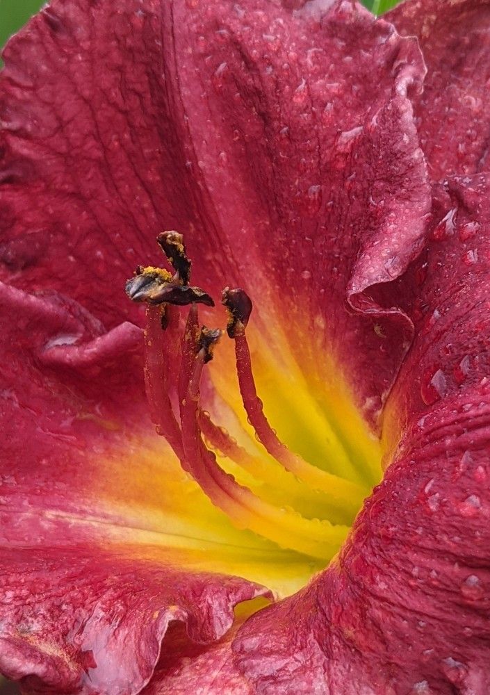 Photograph by Инесса Глухова