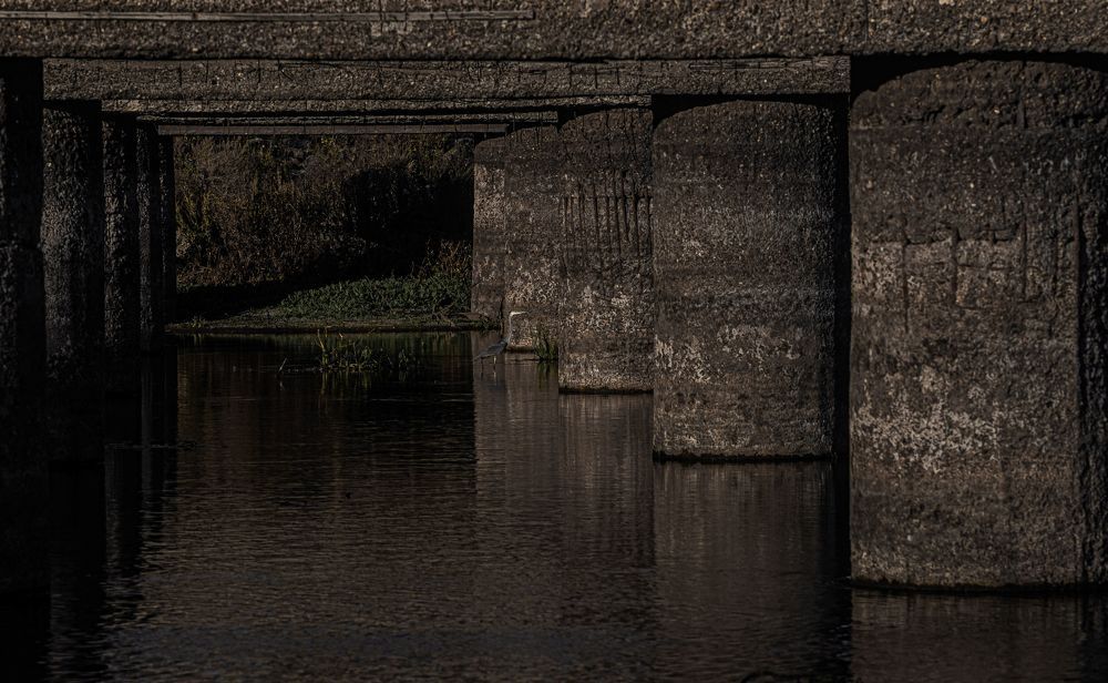 Photograph by Сергей Синягин