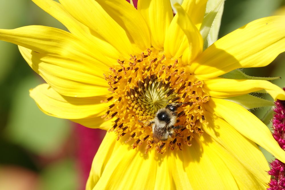 Photograph by Zakharov Matvey