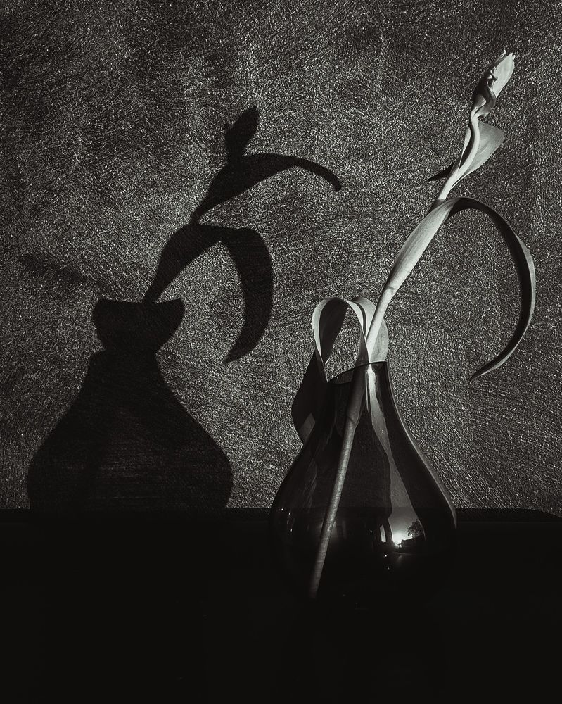 Photograph by Anya Lo