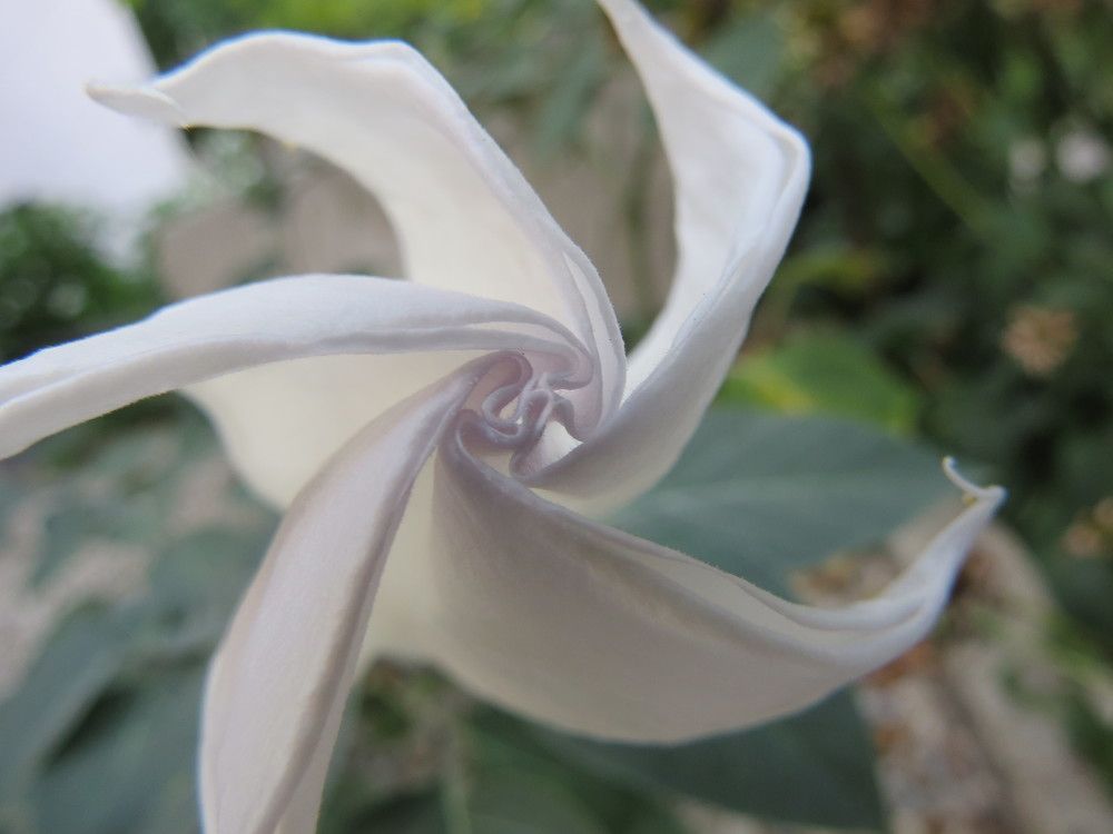 Photograph by Татьяна Стаскевич