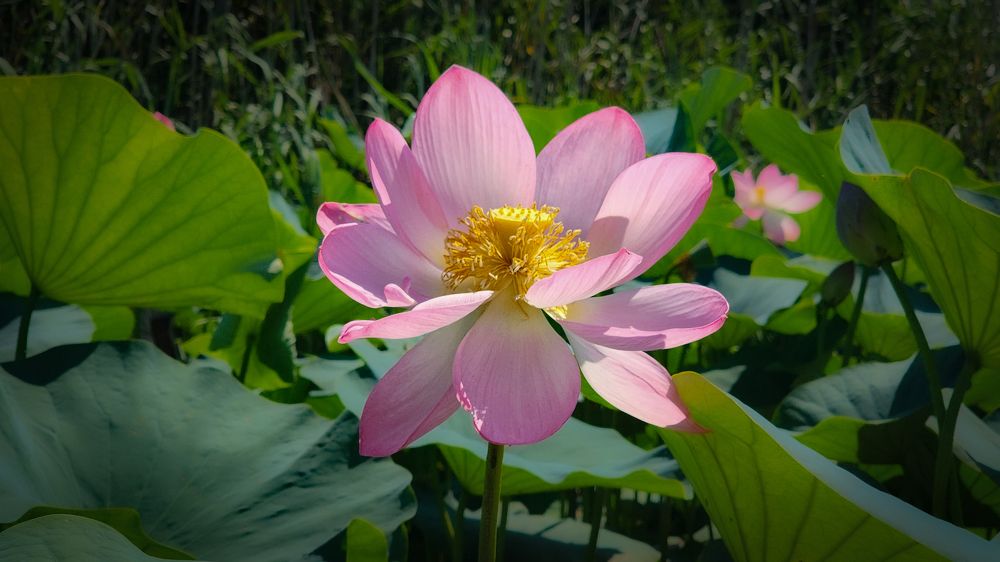 Photograph by Олег Филиппов