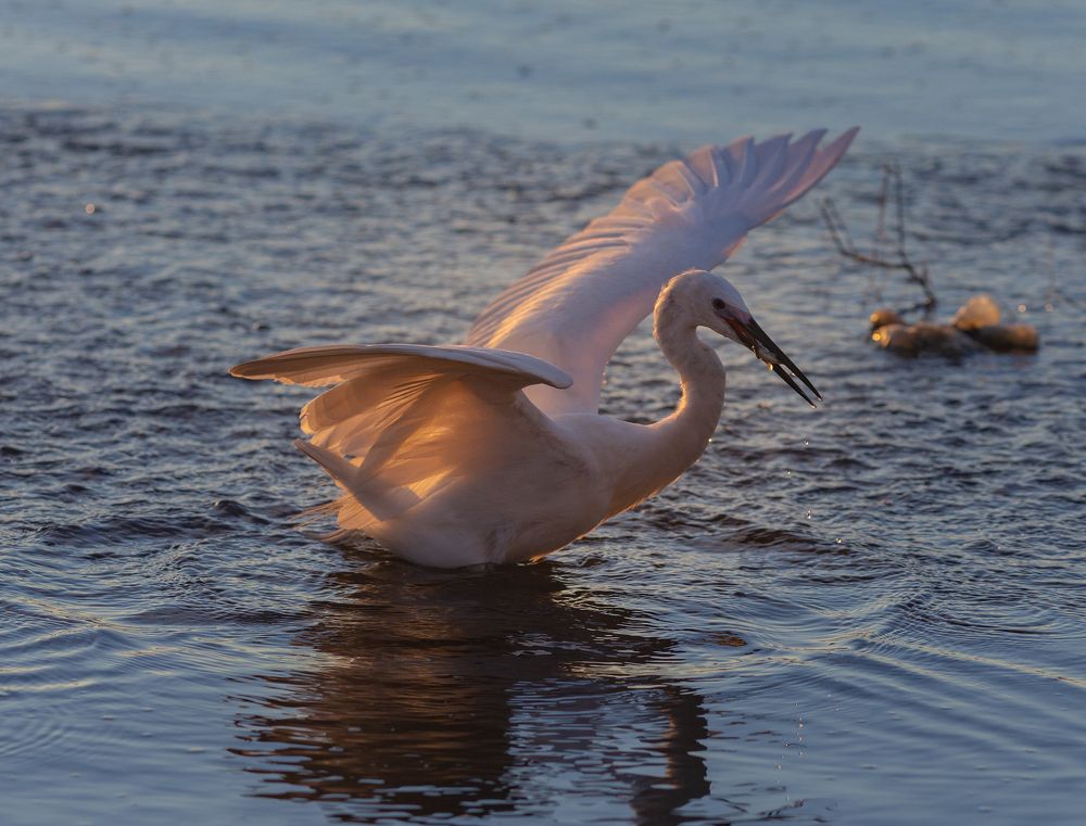 Photograph by Гайдабуров Сергей