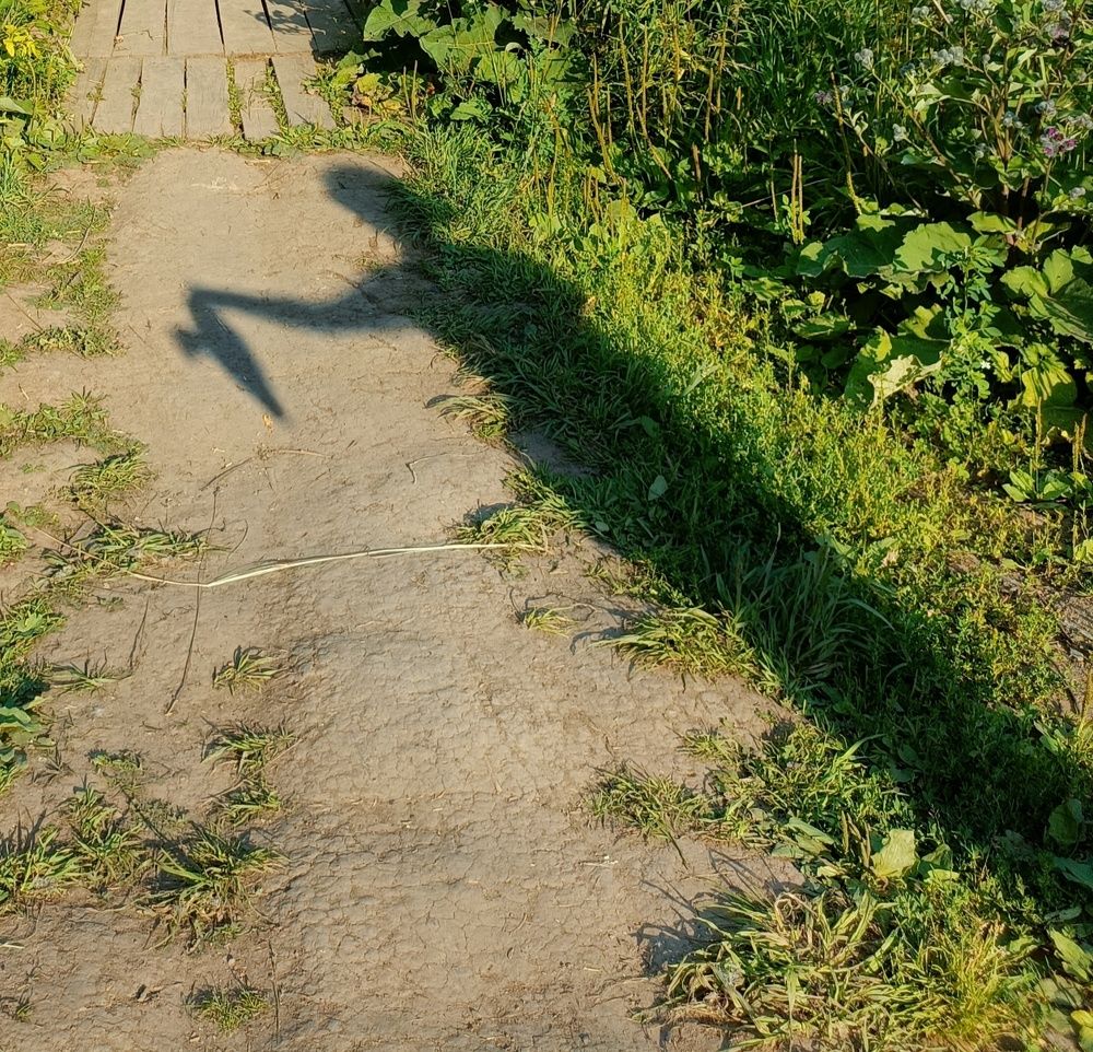 Фотография автора Татьяна Лука