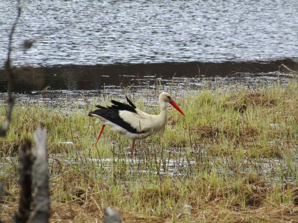 Photograph by Татьяна Смирнова