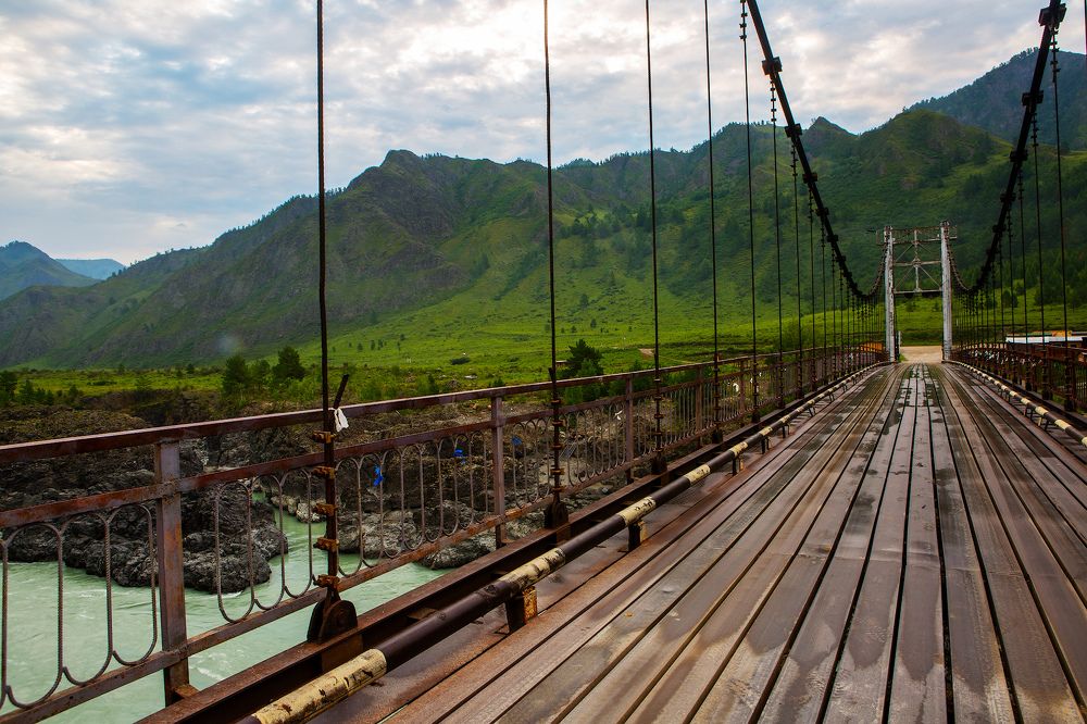 Фотография автора Totoro