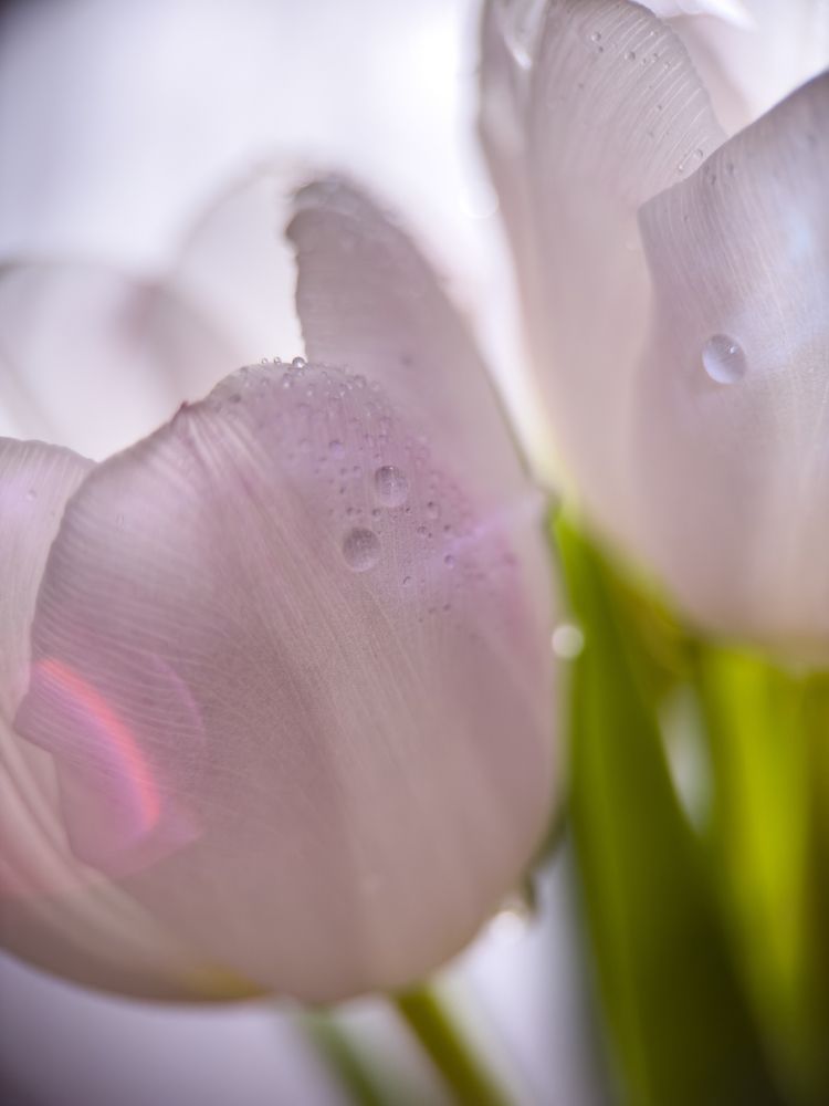 Photograph by Ольга Филатова