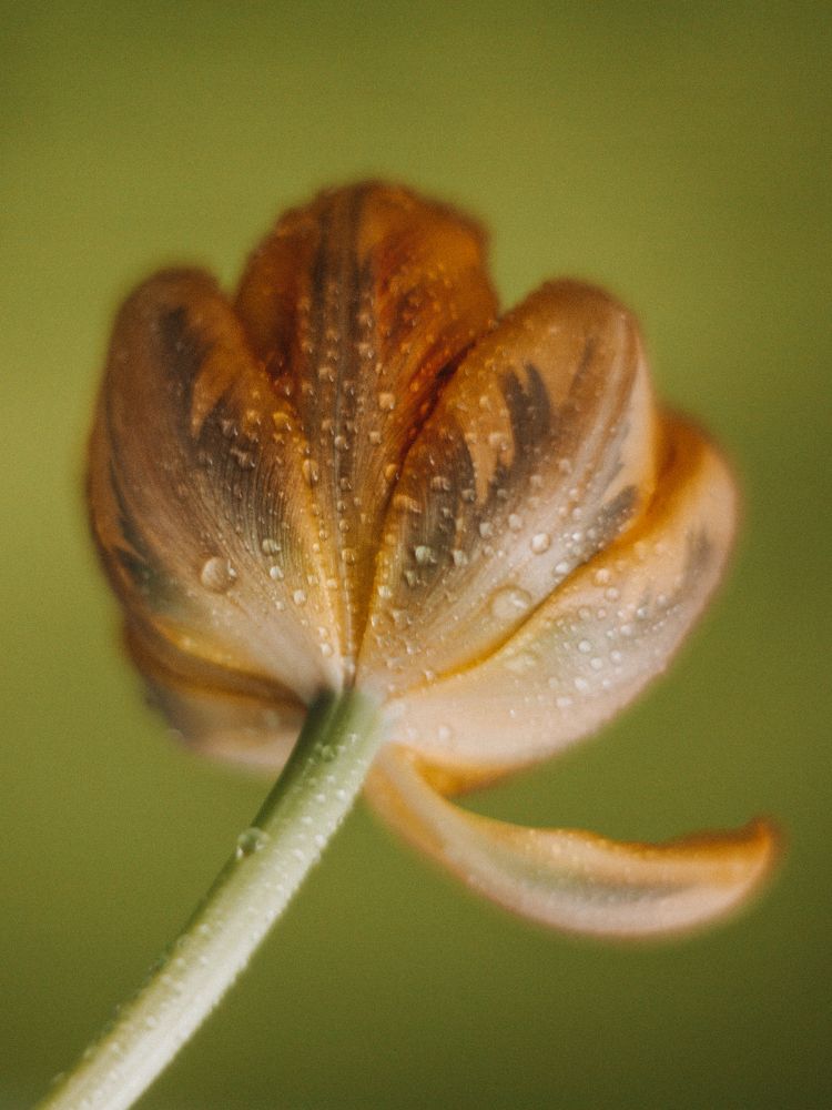 Photograph by Ксения Лаевская