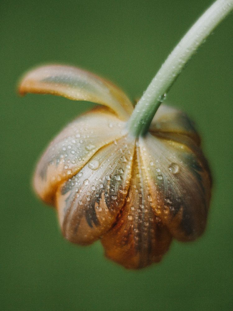 Photograph by Ксения Лаевская