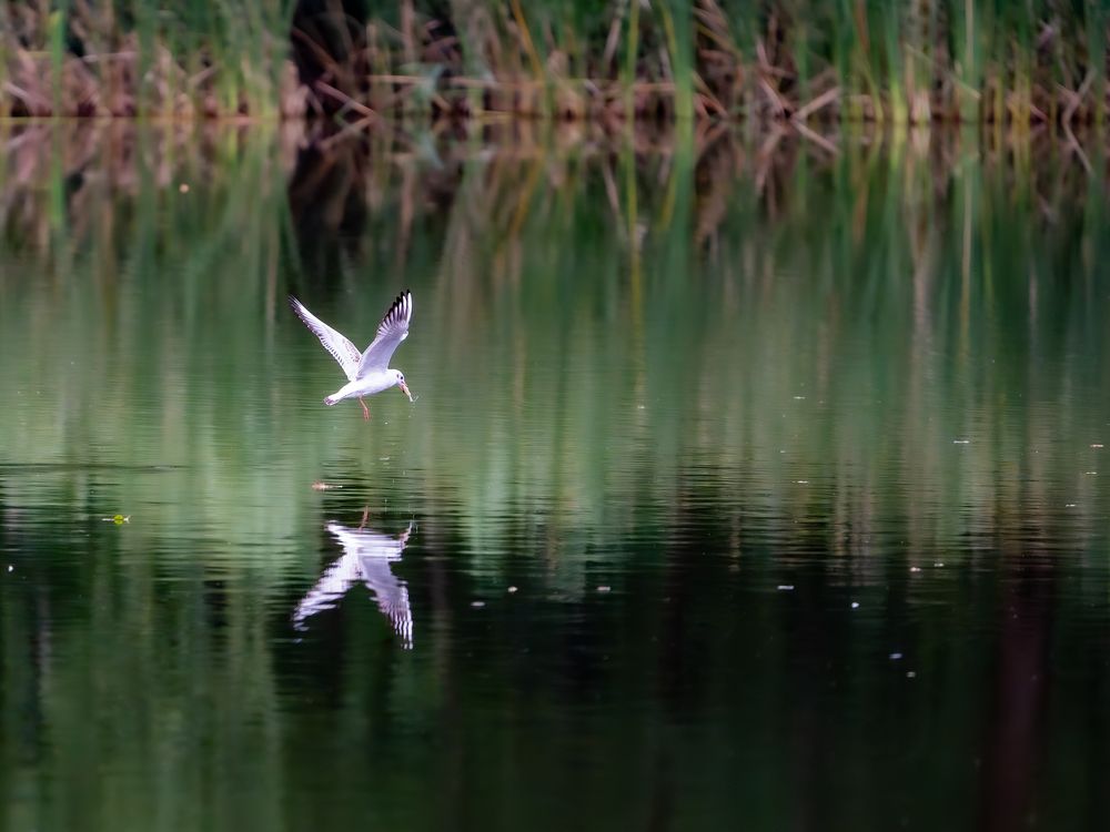 Photograph by Raman Danilchyk