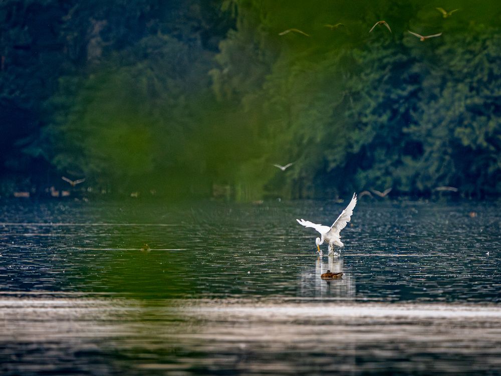 Photograph by Raman Danilchyk