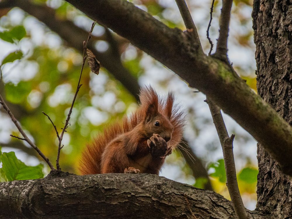 Photograph by Raman Danilchyk